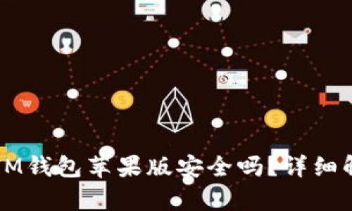 官网下载安装IM钱包苹果版安全吗？详细解析与用户指南