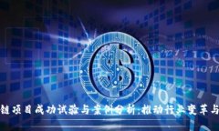 全球区块链项目成功试验与案例分析：推动行业