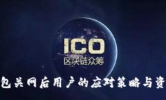 :imToken钱包关网后用户的应对策略与资产保护指南