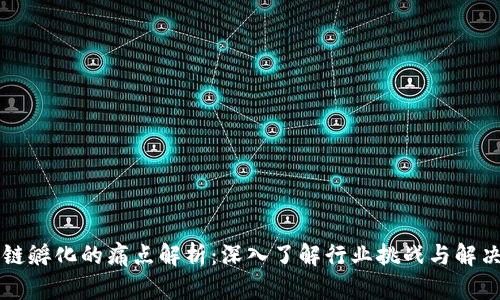 区块链孵化的痛点解析：深入了解行业挑战与解决方案