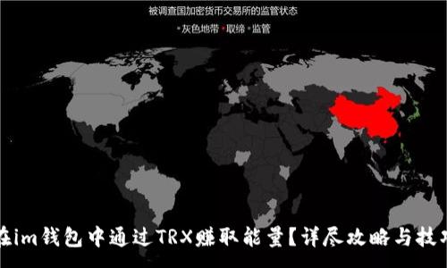 :
如何在im钱包中通过TRX赚取能量？详尽攻略与技巧分享