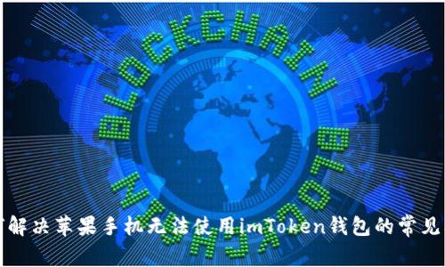 如何解决苹果手机无法使用imToken钱包的常见问题