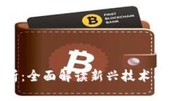 区块链备案的风险分析：全面解读新兴技术面临