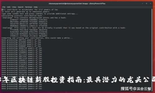 2023年区块链新股投资指南：最具潜力的龙头公司分析
