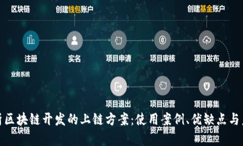 全面解析区块链开发的上链方案：使用案例、优缺点与未来趋势