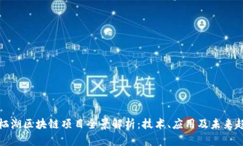 雁栖湖区块链项目全景解析：技术、应用及未来趋势