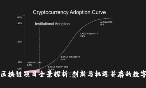 光谷区区块链项目全景探析：创新与机遇并存的数字化未来