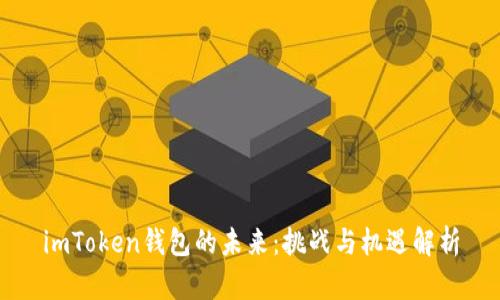 imToken钱包的未来：挑战与机遇解析