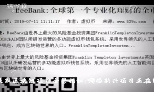 2023年最新区块链项目全景揭秘：哪些新兴项目正在崭露头角？
