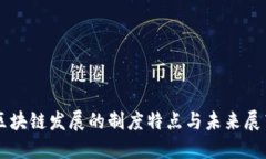 区块链发展的制度特点与未来展望